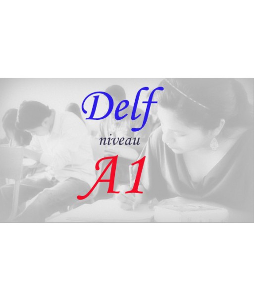 Inscription DELF Niveau A1