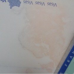 Azyl, naturalizace, víza, povolení k pobytu